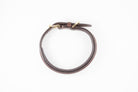 Brown leather dog collar with a gold buckle, shown from the back.


