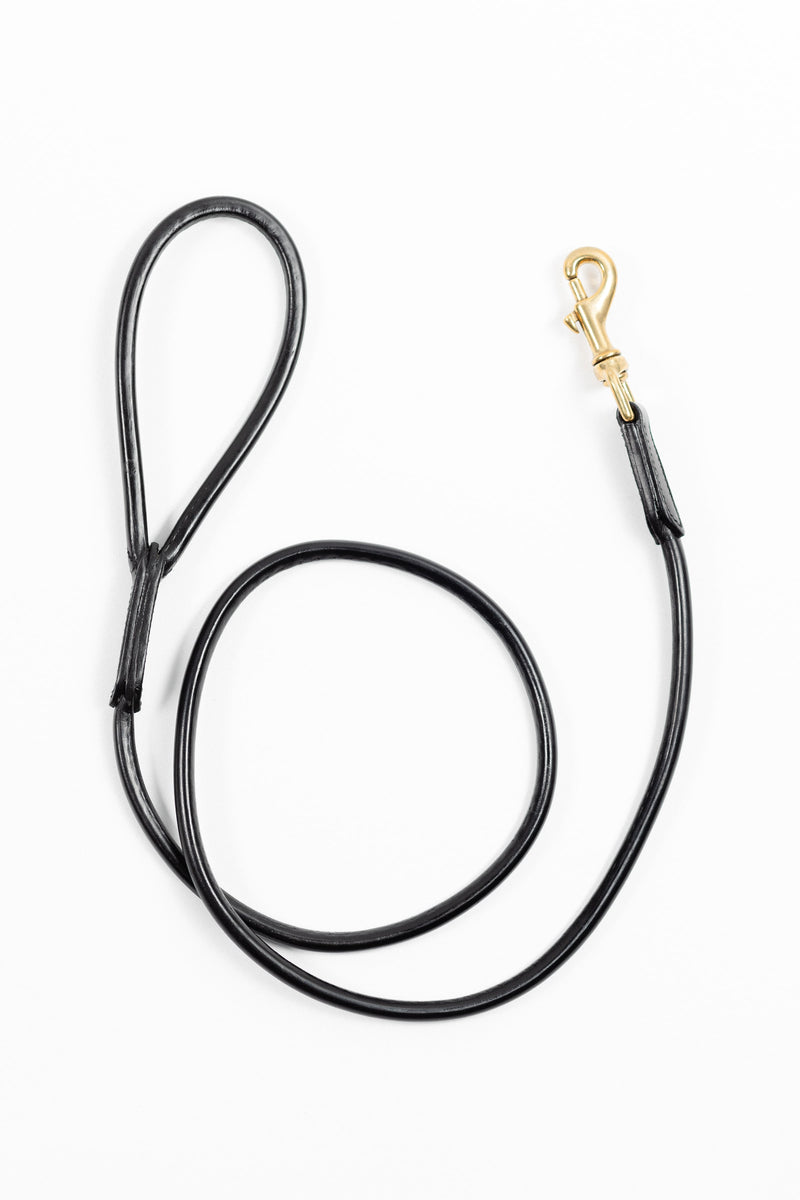 Black leather dog leash with a gold clasp, shown from above on a white background.
