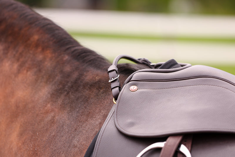 Saddle Handle attached to a brown horse's saddle, showing close-up of the handle and saddle details.