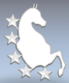 Image of a white horse silhouette surrounded by stars. Product name is "Brow Band Narrow Tapered Burgundy 13" Above Level Training Chrome