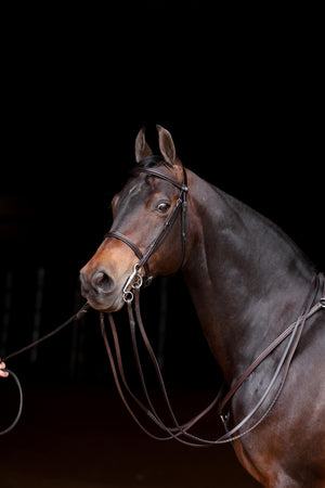 Stake Night Show Hunter Double Bridle Headstall (Complete Bridle)