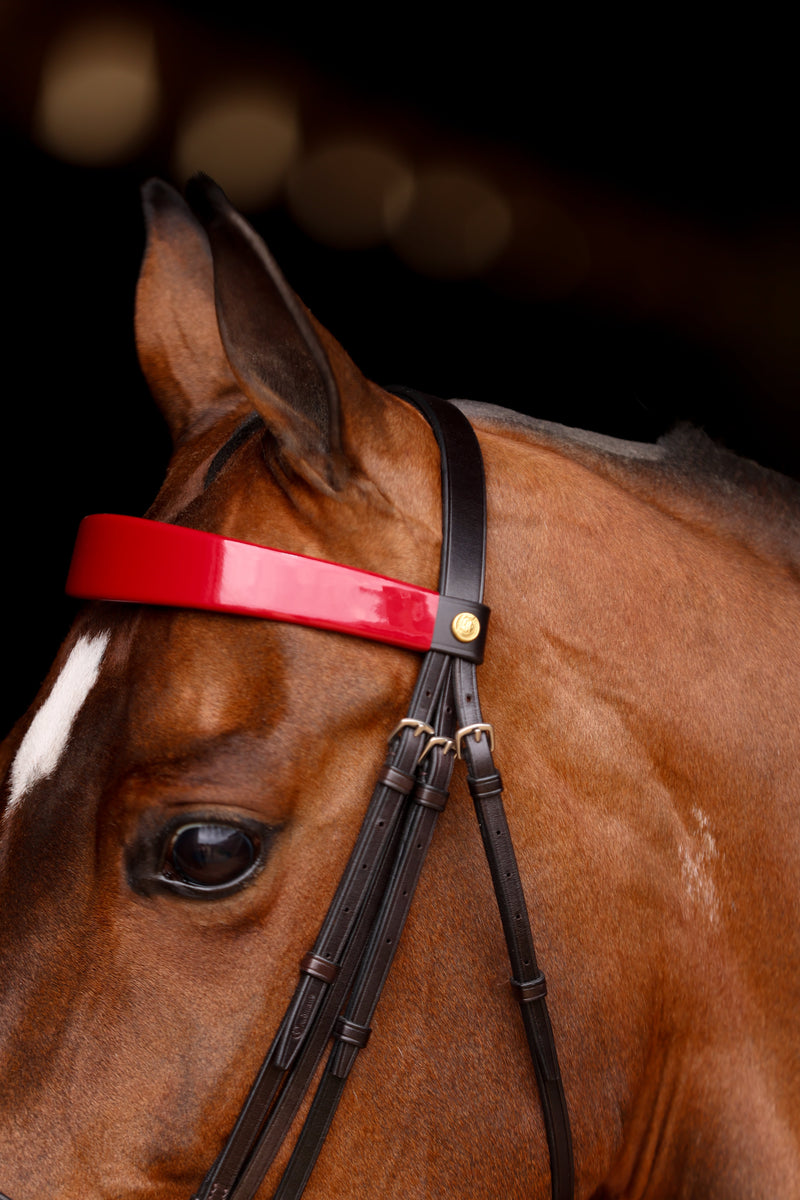 Detail of Stake Night Weymouth Bridle, showing red patent browband, leather straps, and gold hardware