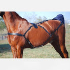  Brown horse wearing a black Belly Band for Swing Set.