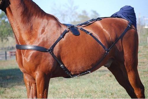  Brown horse wearing a black Back Pad for Swing Set - cropped