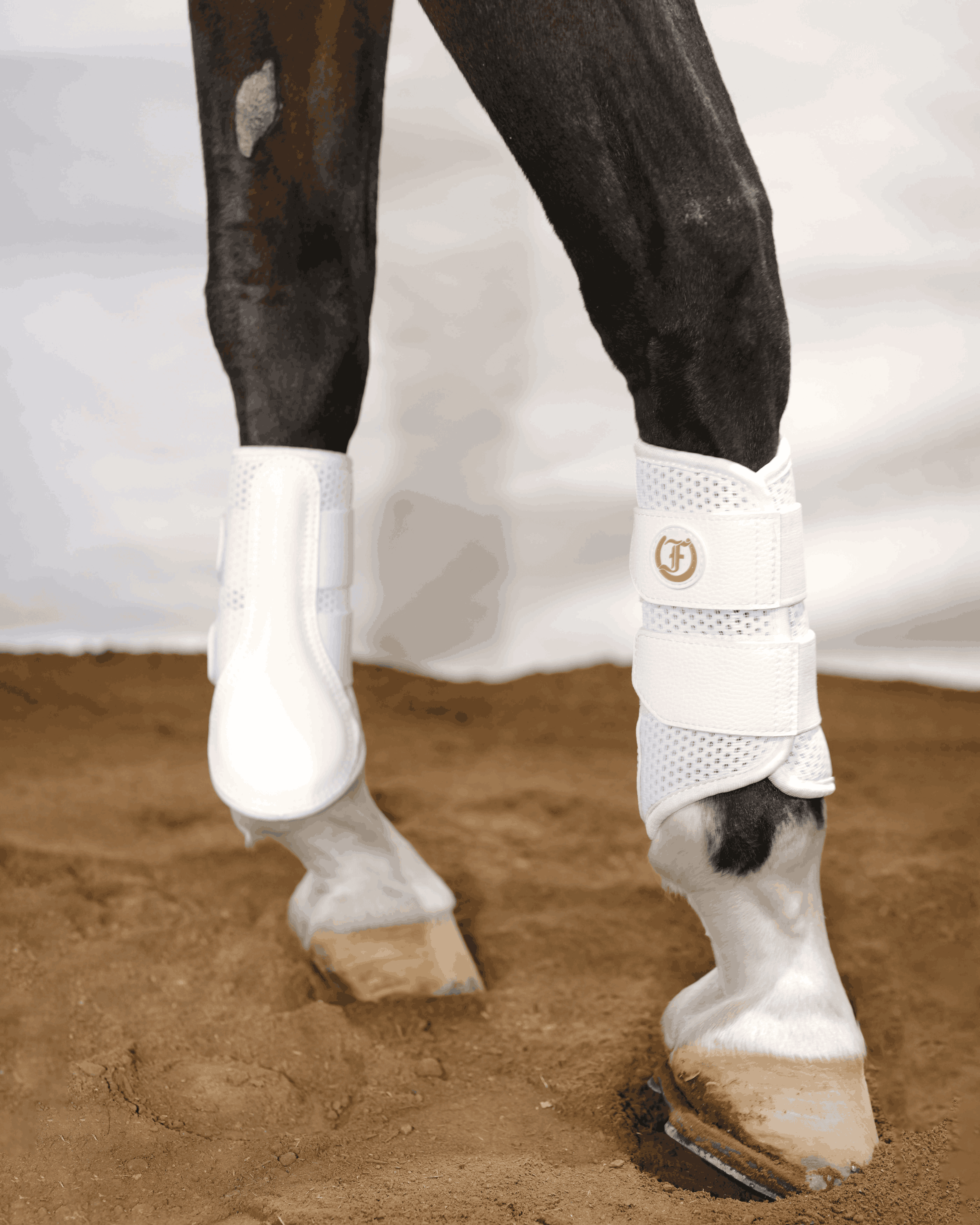 White protective horse boots worn on front legs, designed for support and impact protection during riding or training.