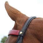 Close-up of the padded crownpiece and red browband of the Advantage Comfort Padded Double Bridle on a horse's head.