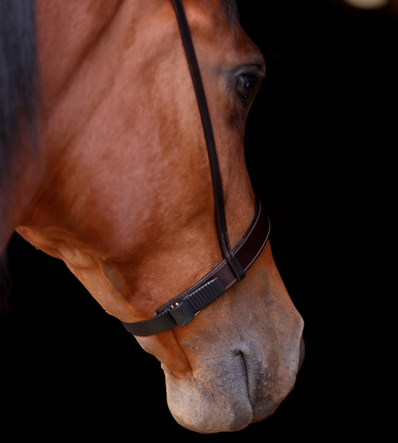 Close-up of Horse Click Tight Caveson with Adjustable Straps on a horse by Freedman's 