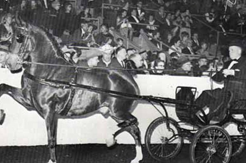 1946