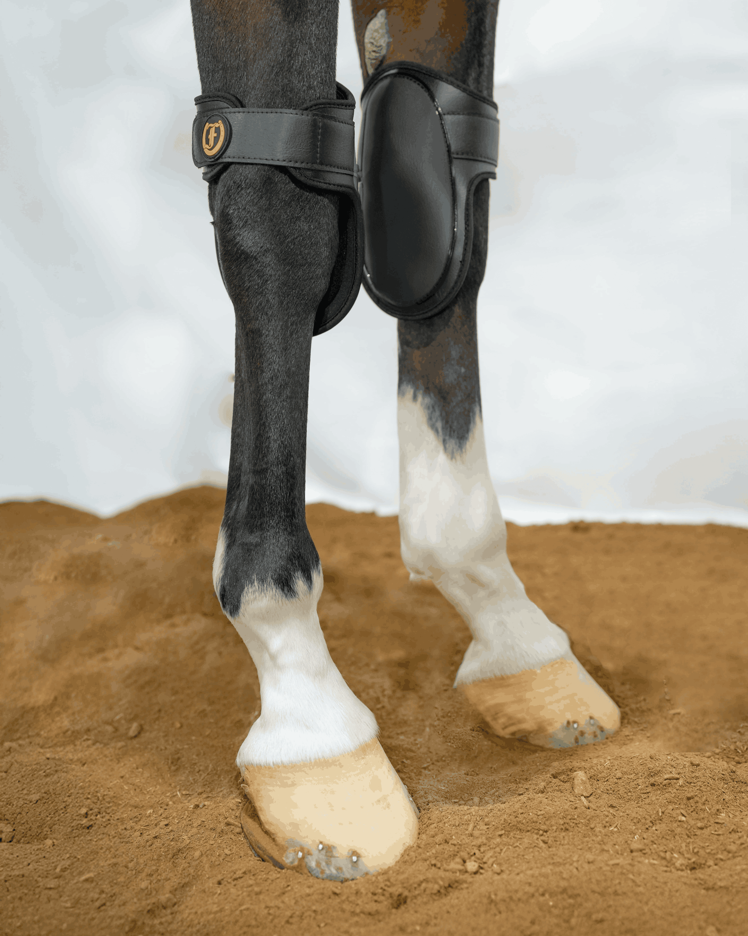 Freedman’s black knee boots on horse legs designed for impact protection and secure fit during schooling or competition.