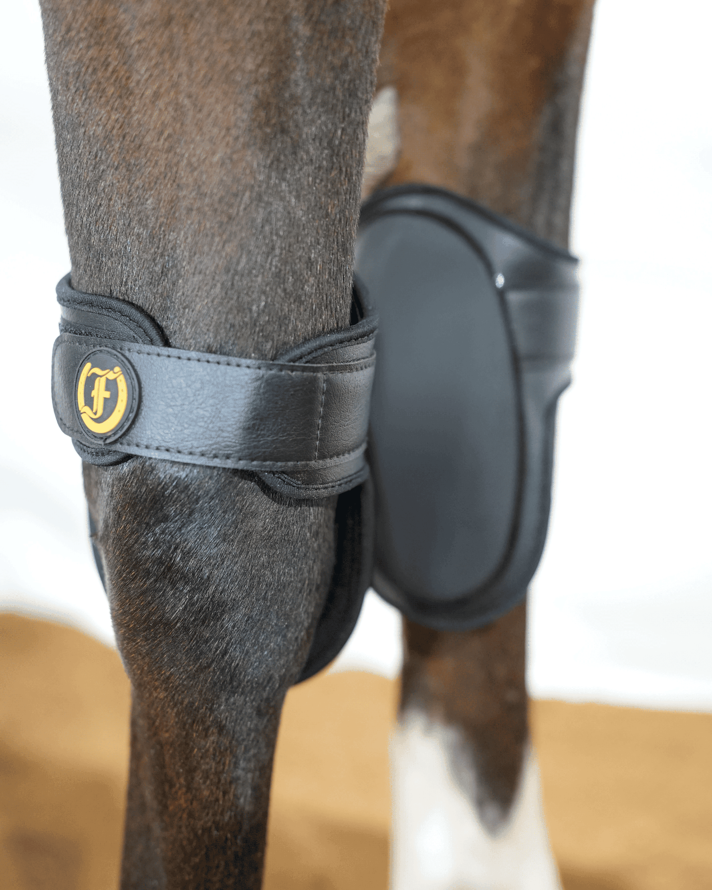 Black knee boots with Freedman’s logo worn on a horse’s leg, designed for impact protection and support.