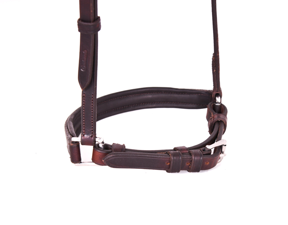 Detail of a padded brown leather strap from horse equipment, highlighting the soft padding, the adjustable buckles, and the quality of the leather craftsmanship.
