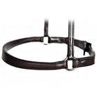 Horse Training Equipment: Hidden Metal Front Tapered Caveson with Leather Construction and Metal Rings