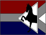 Andre Fourie Stables Logo