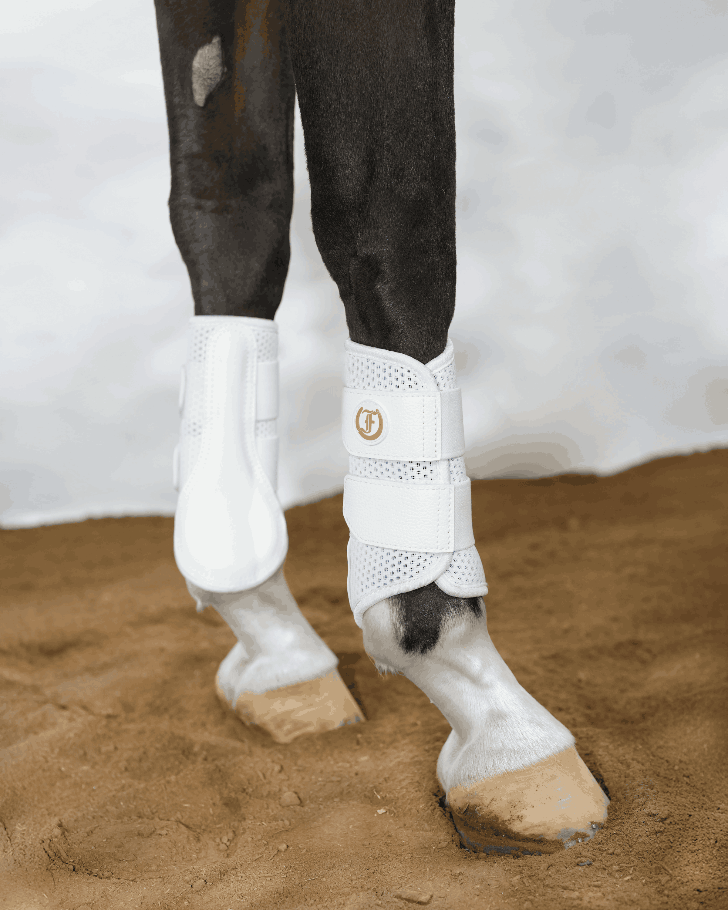 Horse wearing white Freedman’s splint boots with breathable mesh in arena footing