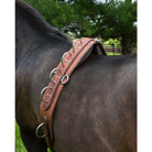 ACTraining Long Lining Surcingle, designed for training horses with long lines, made of brown leather with multiple rings for various training aids, shown on a horse's back.