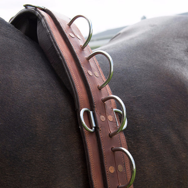 ACTraining Long Lining Surcingle, designed for training horses with long lines, made of brown leather with multiple rings for various training aids, shown on a horse's back.

