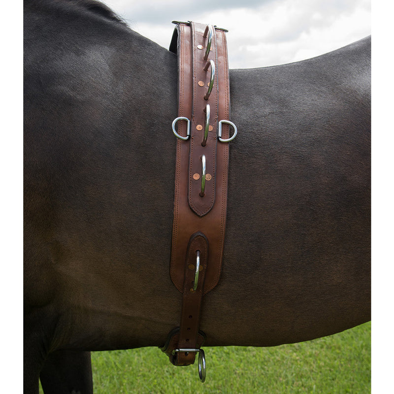 ACTraining Long Lining Surcingle, designed for training horses with long lines, made of brown leather with multiple rings for various training aids, shown on a horse's back.- Side vew.