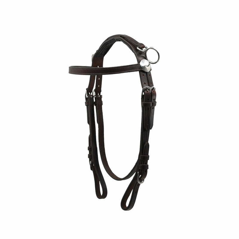 Close-up of an ACTraining combination padded buckle cheek work bridle showing leather straps, buckles, rings, and padding.