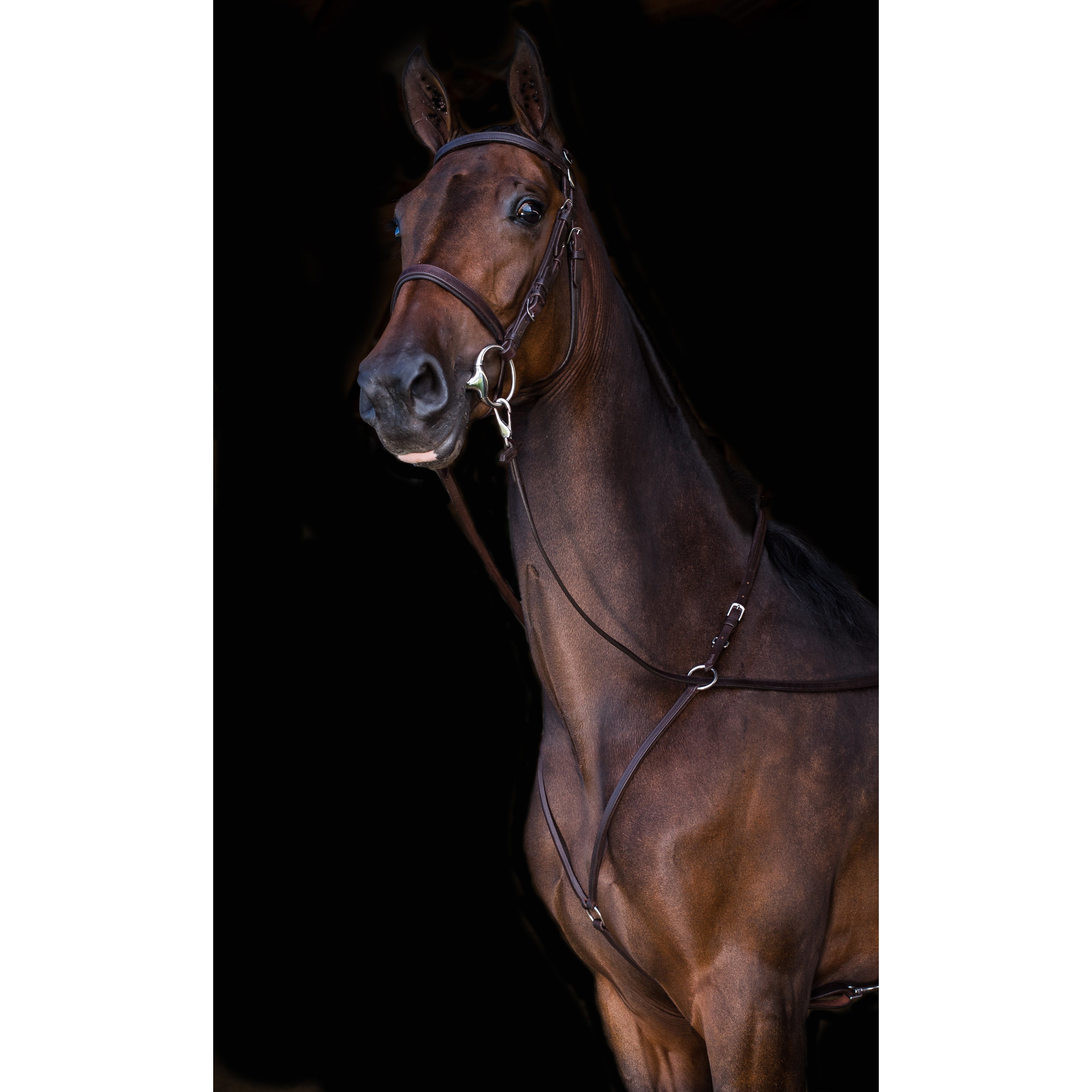 ACTraining Padded Martingale