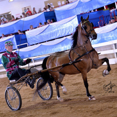 Brown Hackney horse pulling a racing carriage with a driver in red and green silks on a dirt track, with spectators in the background.