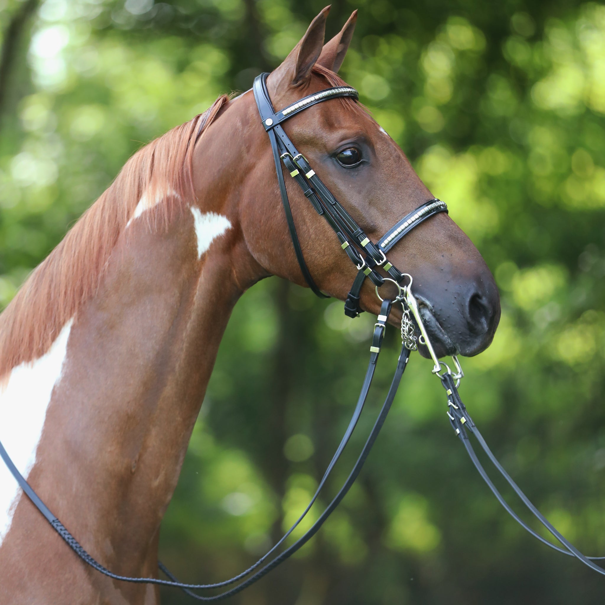 Advantage Comfort Padded Show Hack Bridle