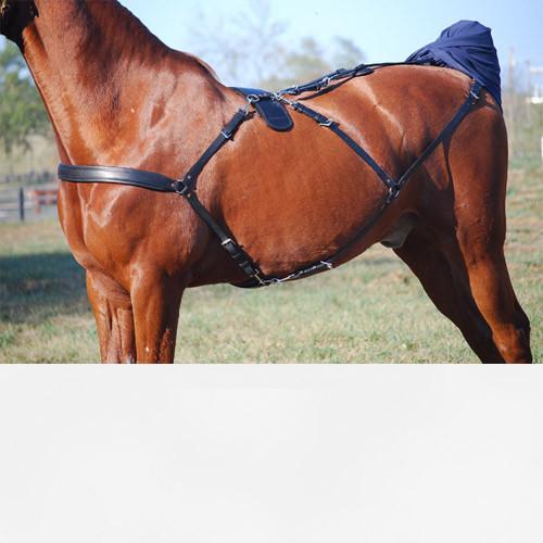  Brown horse wearing a black Back Pad for Swing Set.