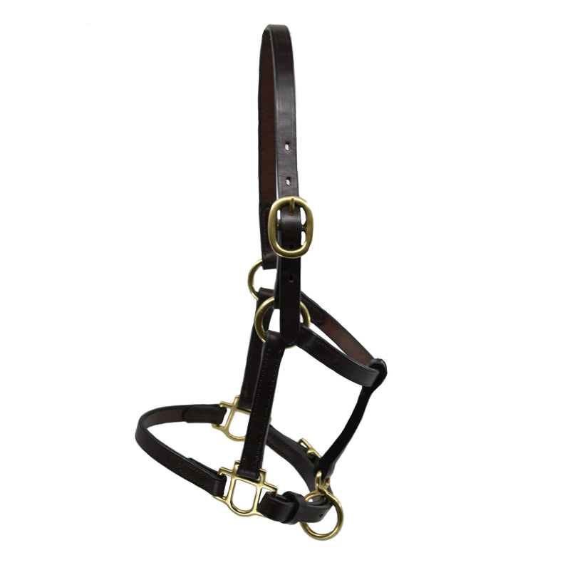  Dark leather weanling halter, Freedman's brand, with adjustable chin strap and brass rings.