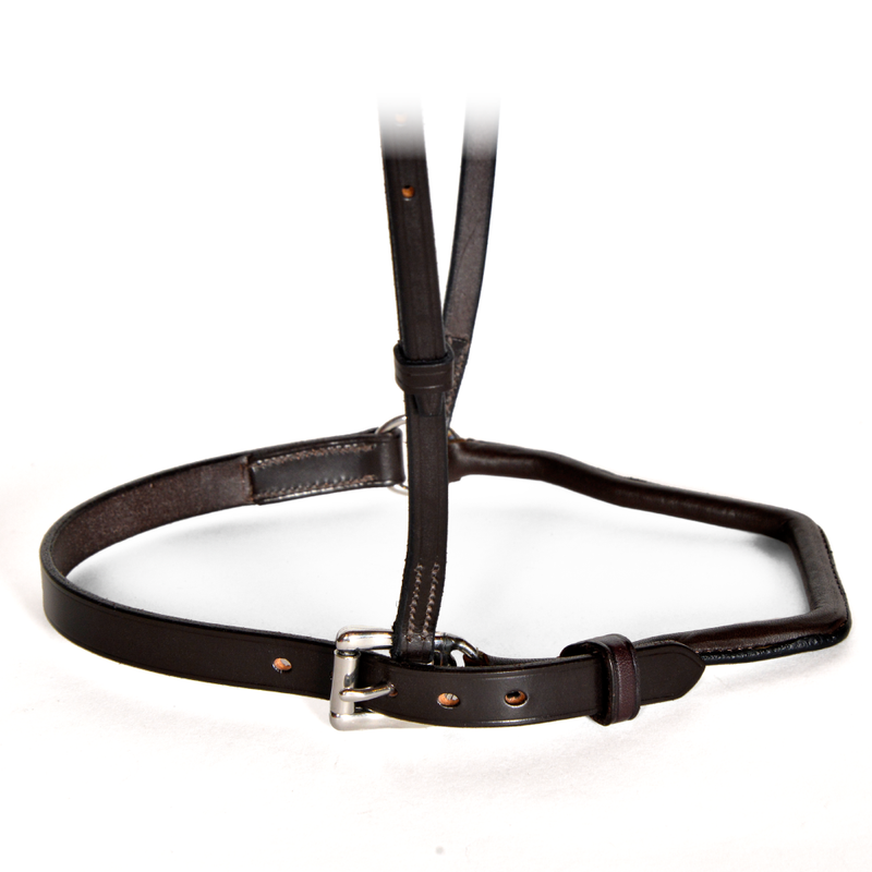 Horse Show Equipment: Front Closure Wire Back Show Caveson with Padded Leather and Metal Hardware