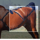 Brown leather Y straps for horse crupper and bustle set.