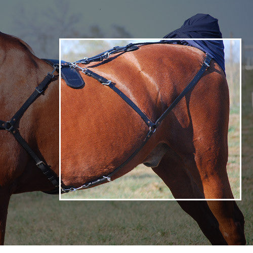 Brown leather Y straps for horse crupper and bustle set.