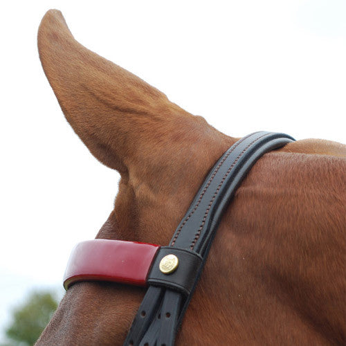 Close-up of an Advantage Bridle Headstall on a horse's head, showing black leather construction, red padded browband and noseband, adjustable straps with buckles, and details of the hardware.