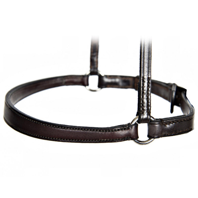 Horse Training Equipment: Hidden Metal Front Tapered Caveson with Leather Construction and Metal Rings
