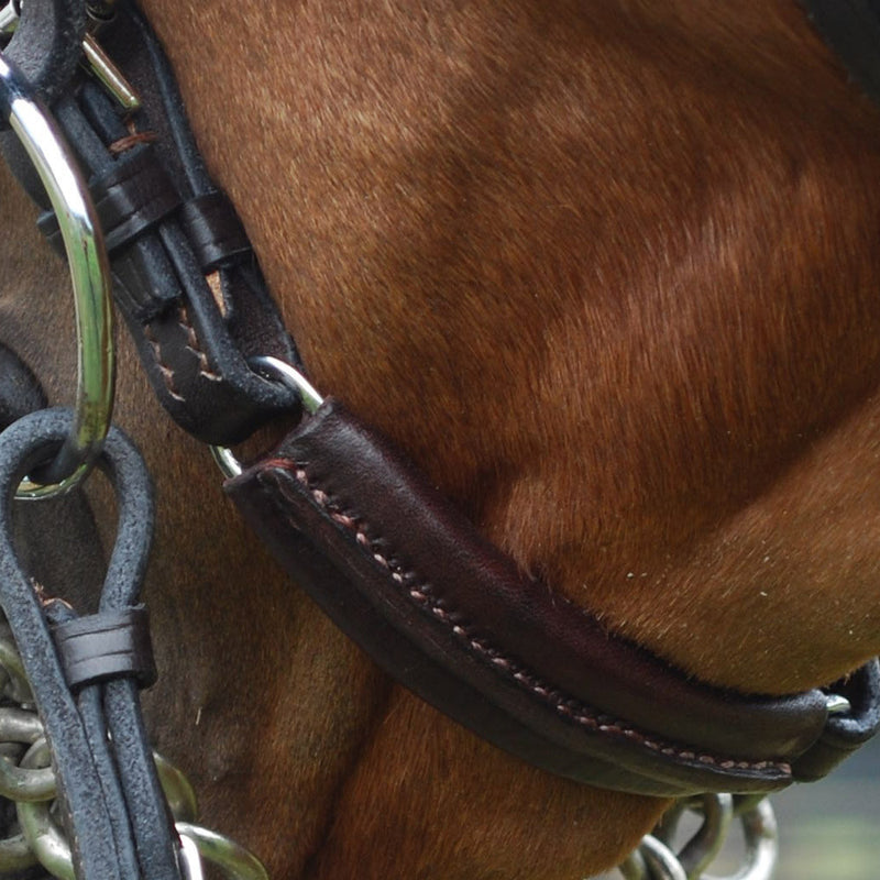 Horse Corrective Back with Straps: Used for Training and Rehabilitation, Detailed View of Straps and Hardware