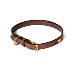 Flat Dog Collar (Last Call Final Sale)