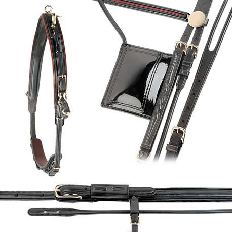 Collage of black leather horse harness parts, including a neck strap, bridle, and various straps with buckles.