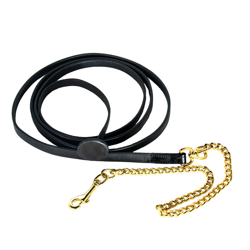 Black leather Show Lead Shank with brass steel chain and snap, coiled on a white background.


